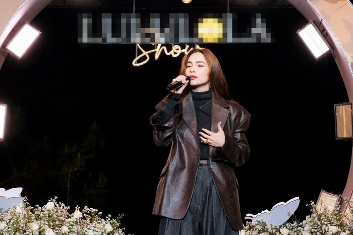 Đêm nhạc Hồ Ngọc Hà gặp sự cố, khán giả lập tức yêu cầu một điều Ảnh 1