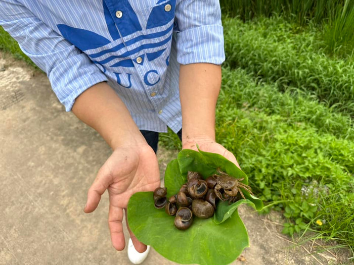 Trọng Tấn vui vẻ khoe thành quả của mình.