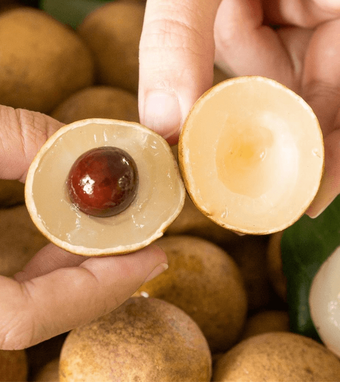 Loại quả này còn cực kỳ tốt đối với sức khỏe, được khuyên nên trồng và sử dụng