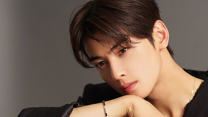 Cha Eun Woo là nam diễn viên hot nhất nhì Hàn Quốc cùng biệt danh 'thiên tài gương mặt'.