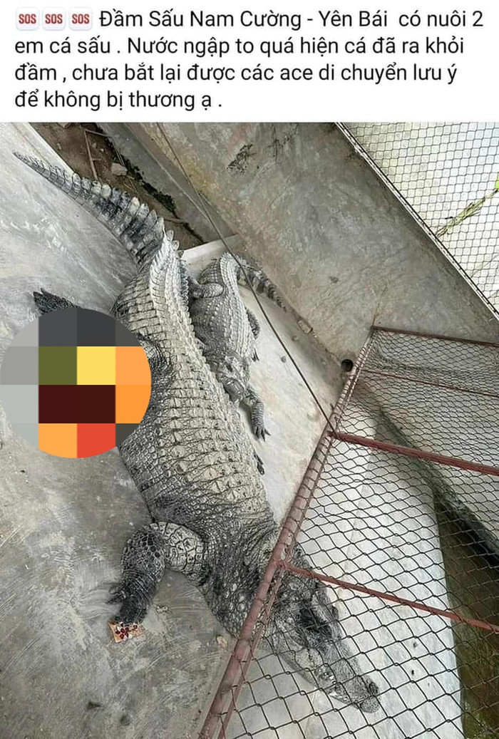 Ảnh chụp màn hình