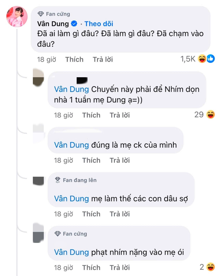 Nhiều khán giả trêu đùa nghệ sĩ Vân Dung nên 'phạt' con trai vì bức ảnh ghép. Ảnh: Chụp màn hình