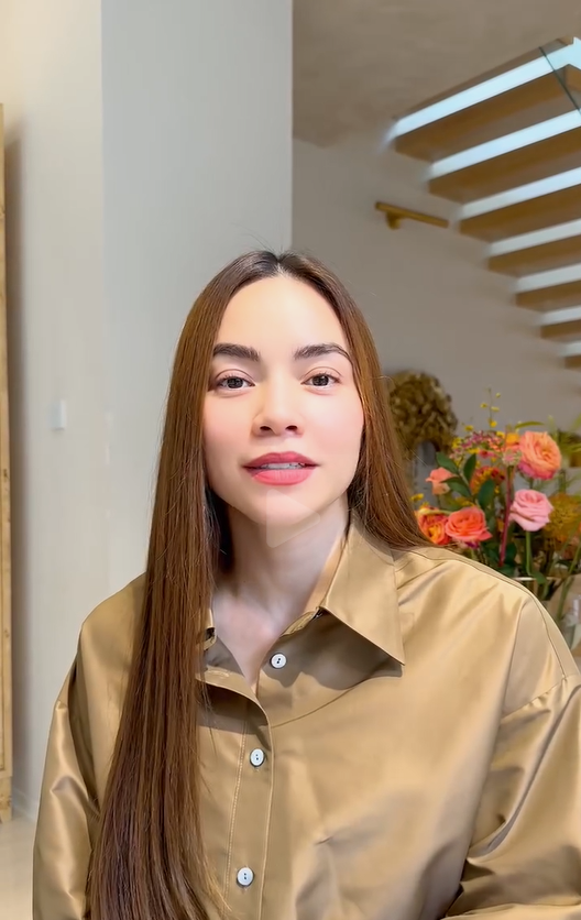 Hồ Ngọc Hà dời dự án vì tình hình bão lũ Ảnh 1