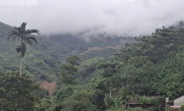 Núi Con Voi, khu vực xảy ra hiện tượng sạt lở đất vùi lấp bản làng 128 người. Ảnh: Người lao động.