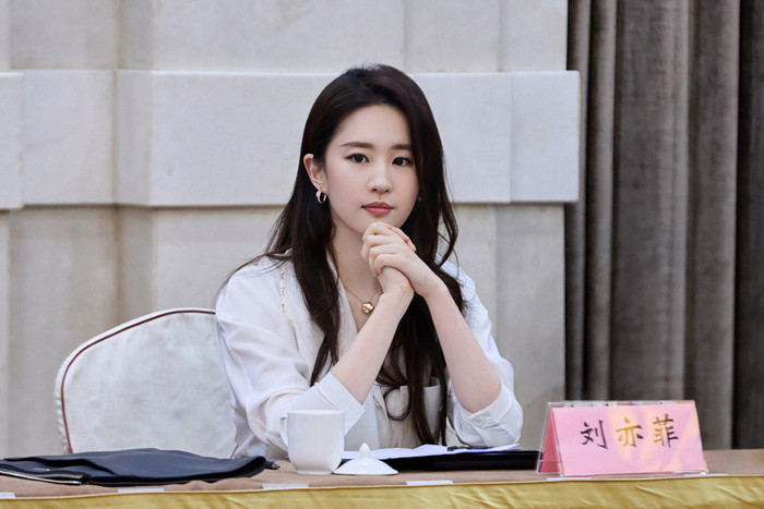 Lưu Diệc Phi luôn làm việc chăm chỉ trong những năm qua. Ảnh: Sưu tầm