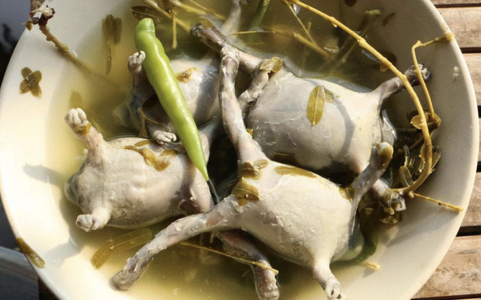 Loại động vật xấu đau xấu đớn giờ thành đặc sản thơm ngon ai cũng săn lùng, 180 nghìn đồng/kg Ảnh 2