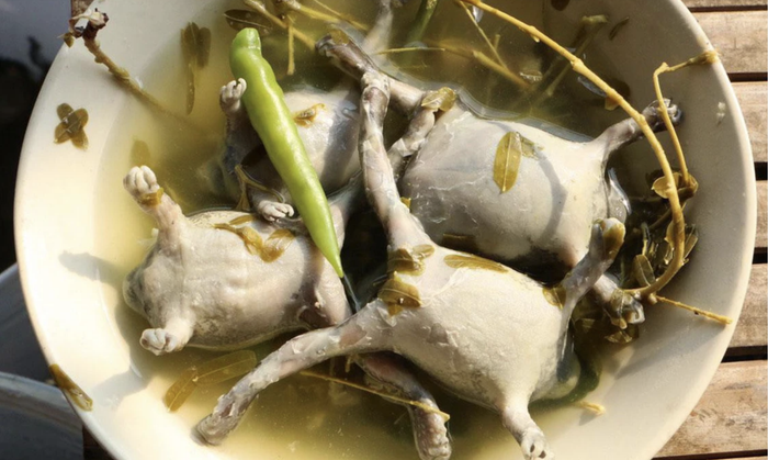 Ếch òn được chế biến và ăn nguyên con là loại đặc sản khiến nhiều người sởn gai ốc