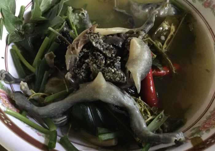 Trông ghê gớm là vậy nhưng thịt ếch òn lại cực kỳ ngon, được ví như đặc sản trời cho