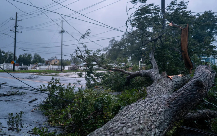 Bão Francine đổ bộ, hơn 500 nghìn hộ dân mất điện Ảnh 2