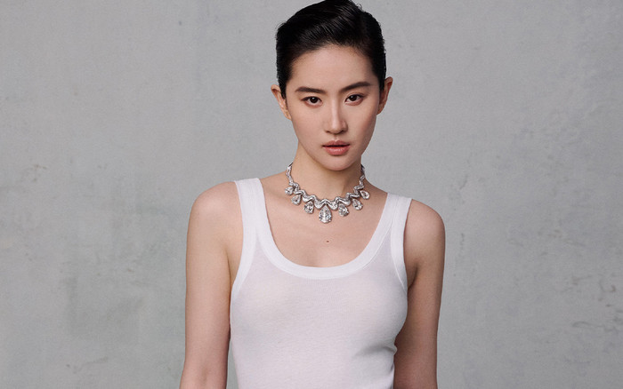 Thời trang 'thách thức dư luận' của Lưu Diệc Phi Ảnh 2