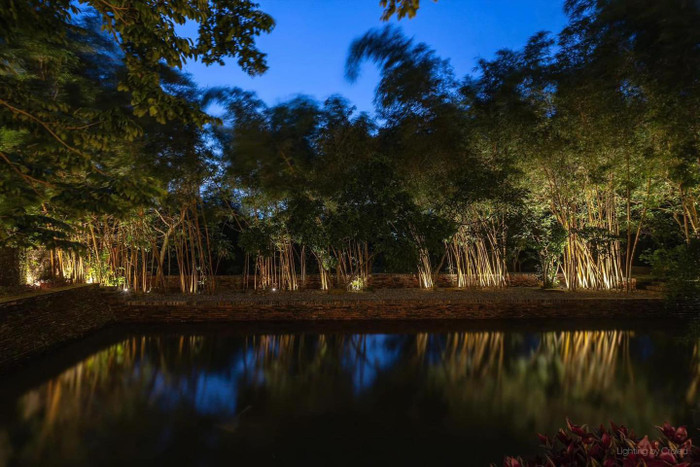 Khu vườn trong cơ ngơi 5.000m2 của nghệ sĩ Xuân Hinh được dọn dẹp gọn gàng sau bão số 3.