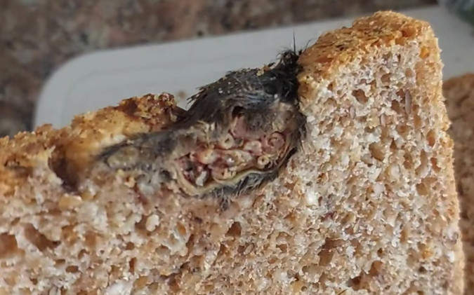 Ăn gần hết ổ bánh mì, người phụ nữ kinh hãi phát hiện xác con chuột bên trong Ảnh 2