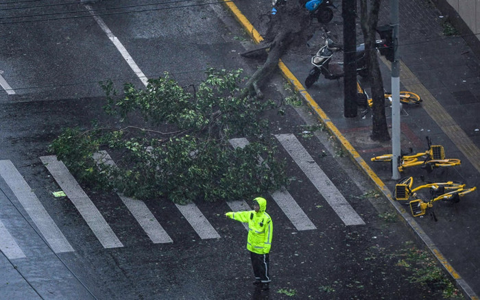Bebinca được gọi là 'cơn bão tồi tệ nhất', tàn phá Thượng Hải khi đổ bộ Ảnh 2