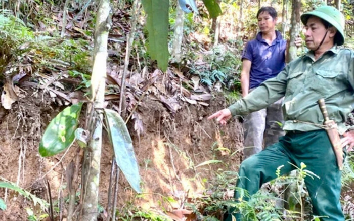 Tiếp tục phát hiện vết nứt dài ở sườn núi, Lào Cai sơ tán khẩn cấp 400 dân Ảnh 2