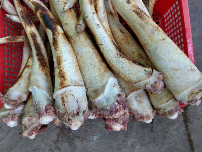 Đuôi bò là thứ ngày xưa ai cũng mang vứt nhưng giờ thành đặc sản vừa ngon vừa bổ.