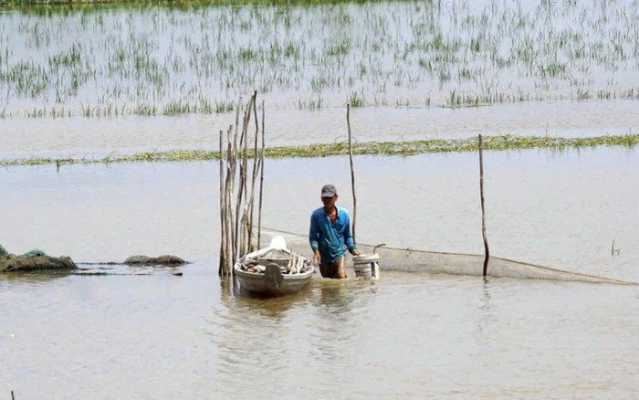 Các tỉnh miền Tây cảnh báo ngập lụt Ảnh 2