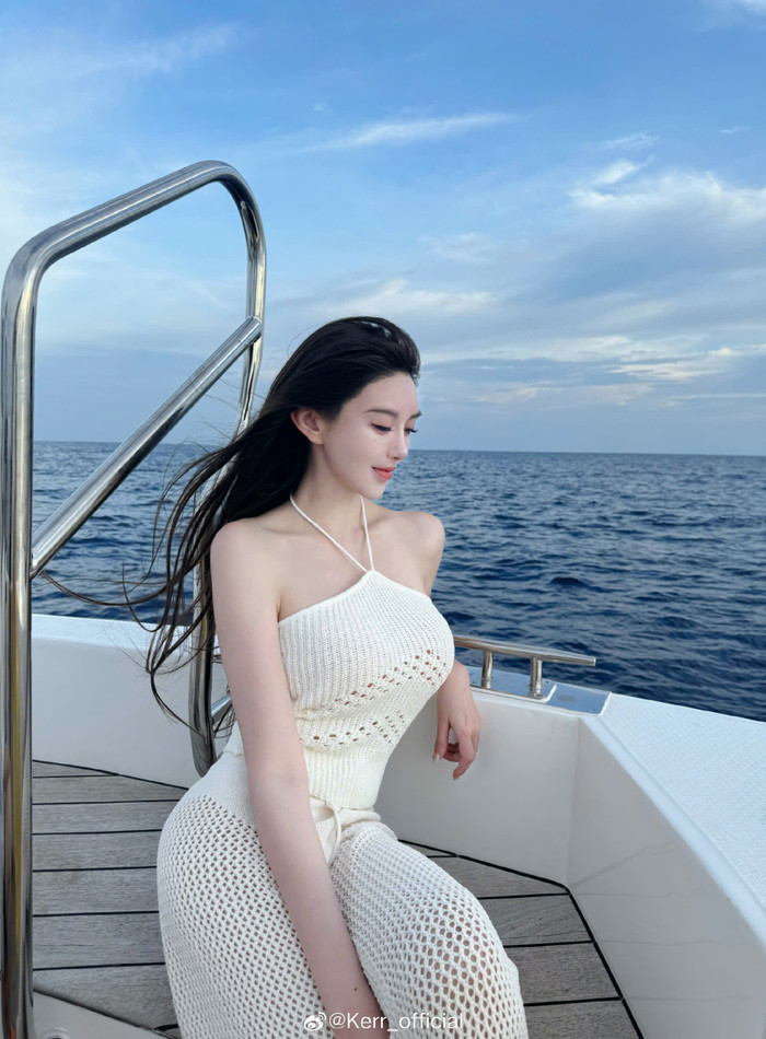 Với nốt son thành tích, Diệp Kha quyết định gia nhập làng giải trí Hoa ngữ với vai trò người dẫn chương trình và mẫu. Tuy vậy, con đường nghệ thuật của bạn gái mới Huỳnh Hiểu Minh lại khá mờ nhạt. Trên các nền tảng truyền thông đại chúng, cô thường được nhắc đến với cụm từ 'hot girl mạng'.