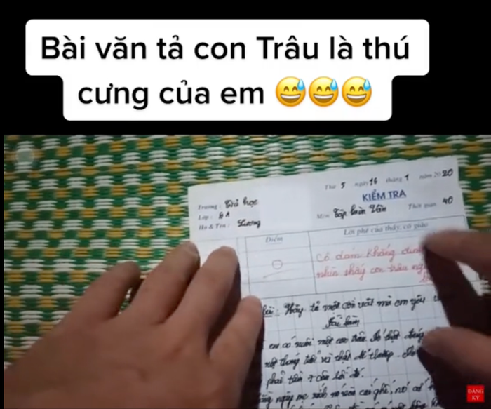 Bài văn tả con trâu bị điểm 0 từng gây sốt mạng xã hội.