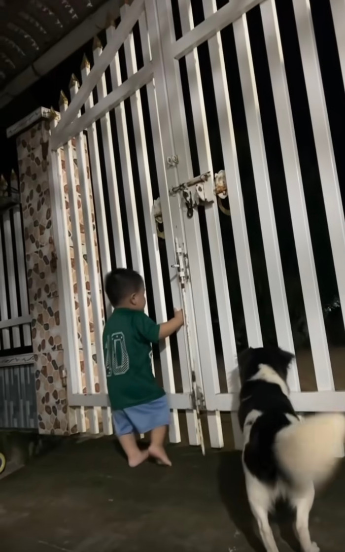 Không chỉ dừng lại ở đó, bé còn đu cánh cửa, giục mẹ mở cửa nhanh để bố vào nhà, thể hiện tình cảm vô cùng dễ thương.