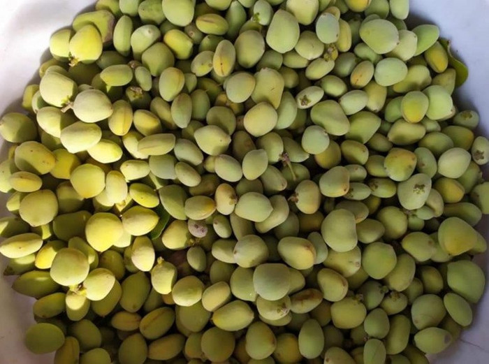 Đặc sản này có hương vị độc lạ.