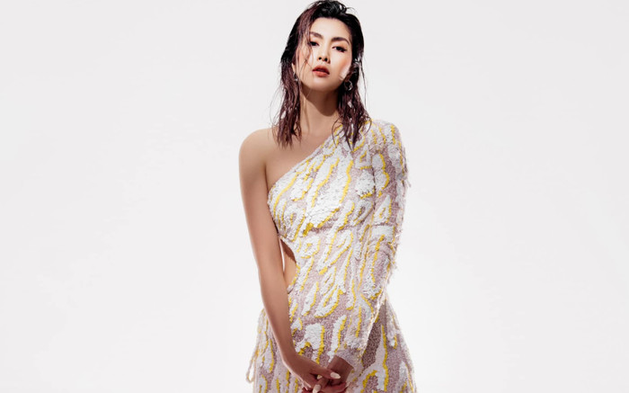 Tăng Thành Hà 'đụng hàng' Hoa hậu Ngọc Châu Ảnh 2