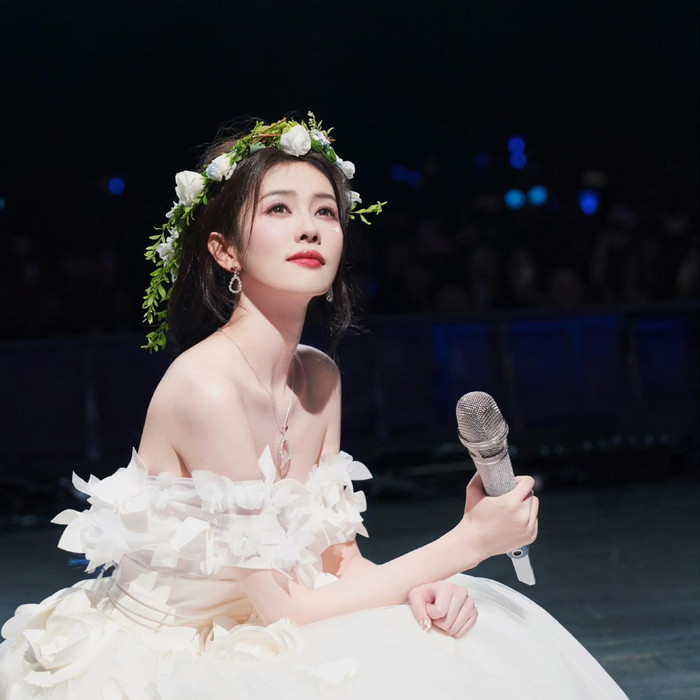 Bạch Lộc bị chỉ trích vì hát dở trong concert: 'Không có từ nào đúng tone, đúng nhịp' Ảnh 1