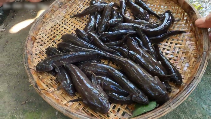 Đặc sản cá bống dừa nổi tiếng Bến Tre.