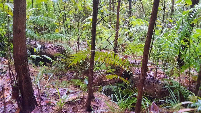 Dấu hiệu sụt lún nghiêm trọng.