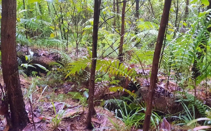 Quảng Bình: Khẩn cấp sơ tán 40 hộ dân, ban bố tình huống sạt lở nghiêm trọng Ảnh 2