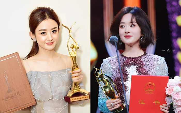 Một hành trình dài của Triệu Lệ Dĩnh để chạm tới hai trên ba giải tam đại truyền hình Trung Quốc. 