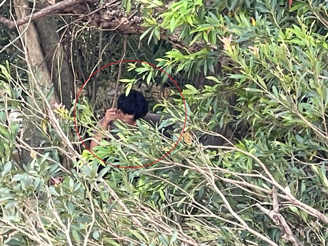 Thắng leo lên cành cây (Ảnh: Người Lao Động)