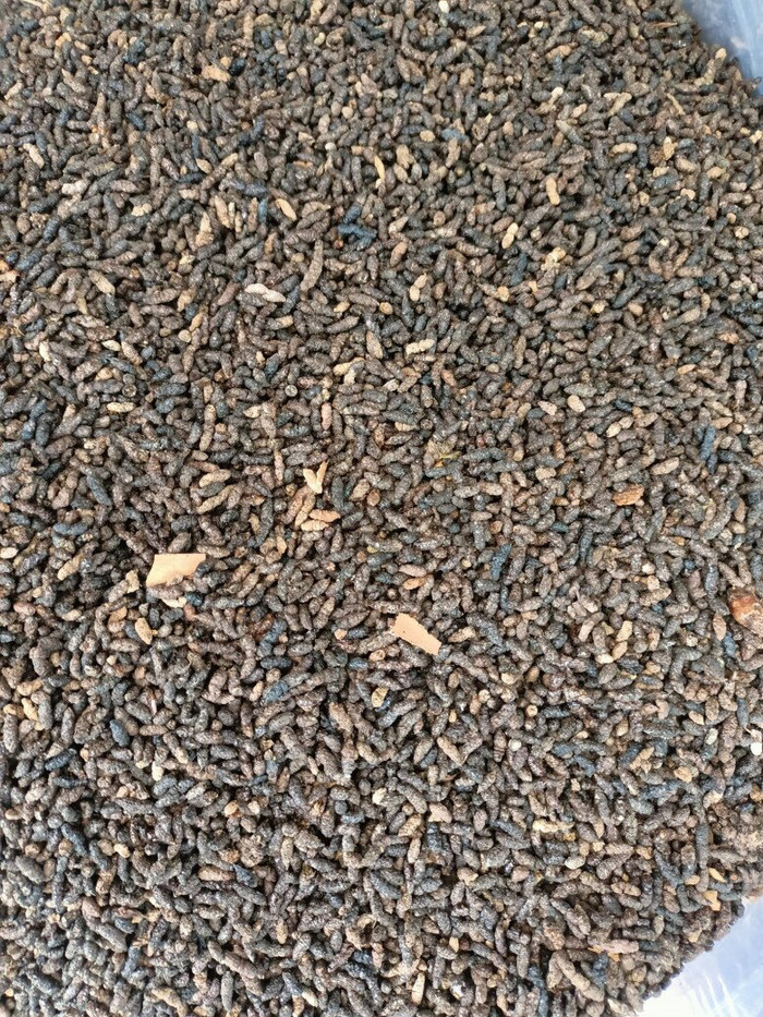 Phân dơi có giá trị kinh tế cao.