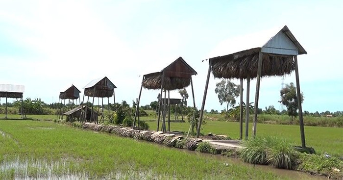 Chuồng dơi phải đặt ở nơi yên tĩnh.