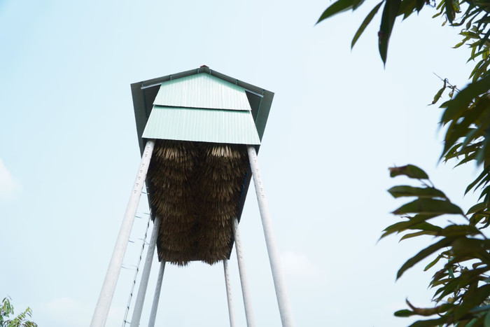 Nuôi dơi cho lợi nhuận khá, không tốn chi phí thức ăn bởi chúng ăn trái cây, các loại côn trùng ngoài tự nhiên. (Ảnh: Dân Việt)