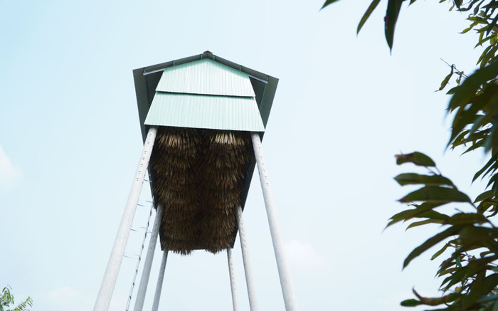 Nuôi loài hoang dã không cần chăm sóc, không tốn thức ăn, anh nông dân lãi trăm triệu đồng Ảnh 2