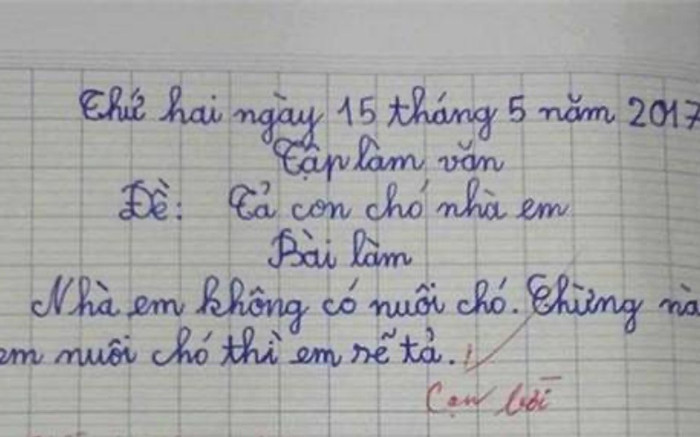 Bài văn tả 'con chó nhà em' khiến cô giáo cạn lời, phụ huynh phải suy ngẫm Ảnh 2