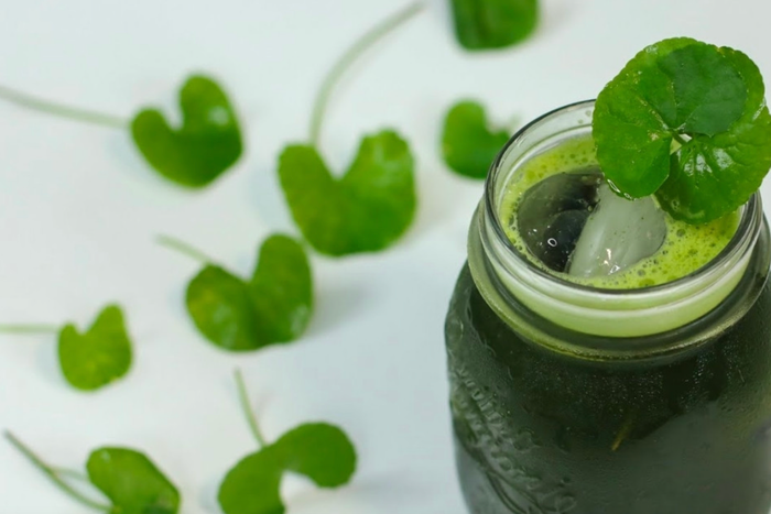 Nước uống từ rau má sẽ giúp thanh độc, giải nhiệt cơ thể một cách hiệu quả.