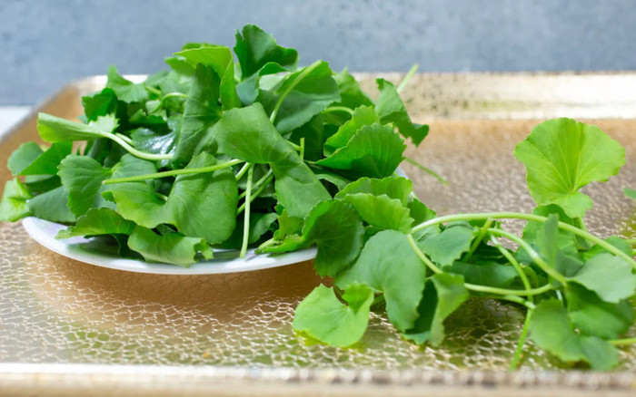 Loại rau có vị đắng giúp khắc phục hầu hết các vấn đề của da Ảnh 2