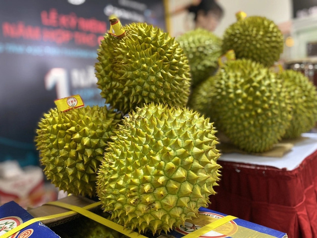 Số tiền đấu giá toàn bộ sẽ đem đi thực hiện chương trình an sinh xã hội