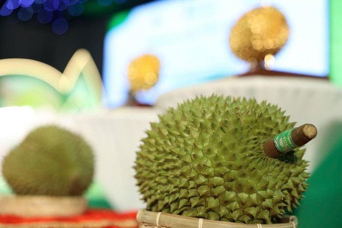 Một trong 3 quả sầu riêng trong phiên đấu giá bạc tỷ