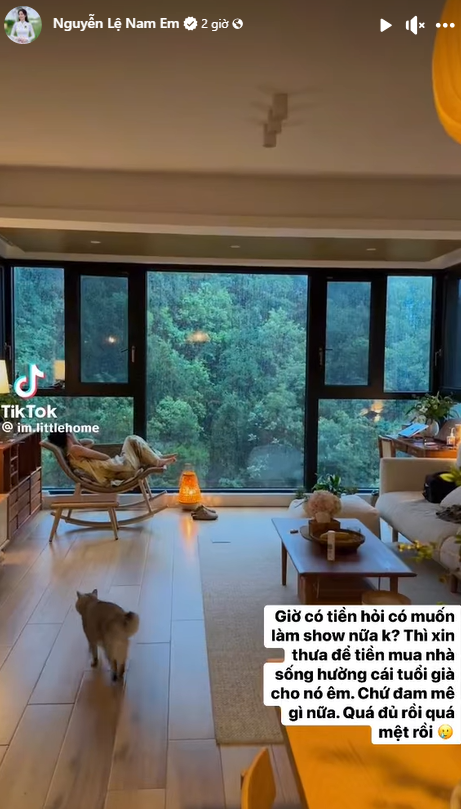 Nam Em không còn đam mê với âm nhạc. Ảnh chụp màn hình 