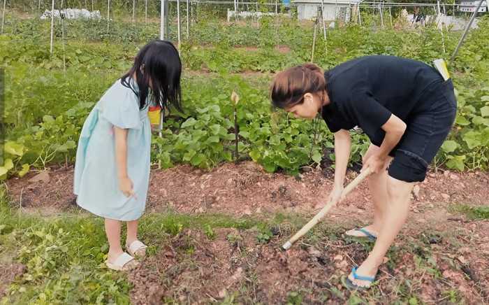 Hoa hậu Oanh Yến khởi nghiệp thất bại, biệt thự trăm tỷ không còn Ảnh 2