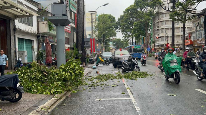 Hiện trường vụ người phụ nữ trên đường đi đón con bị nhánh cây rơi trúng tử vong. Ảnh: báo Lao Động