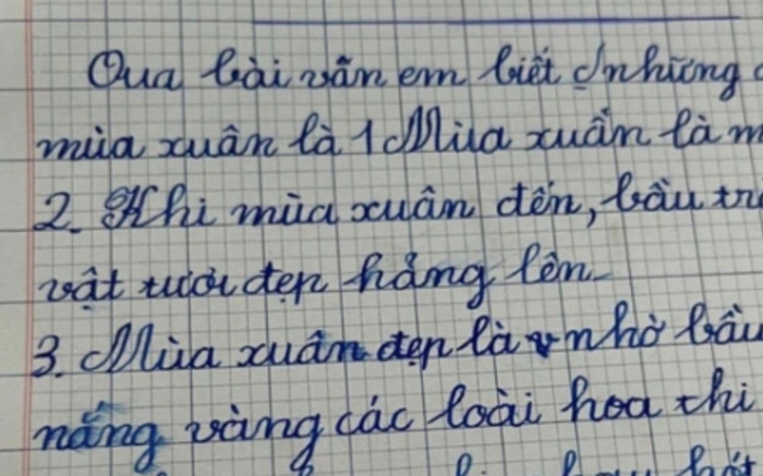 Làm văn tả mùa xuân, cô bé tiểu học viết kết bài khiến dân tình phì cười Ảnh 2