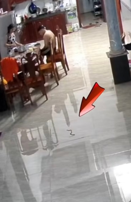 Cộng đồng mạng nhanh chóng phản ứng trước đoạn clip, với nhiều bình luận khen ngợi sự bình tĩnh và nhanh trí của bé gái khi đối mặt với tình huống nguy hiểm.