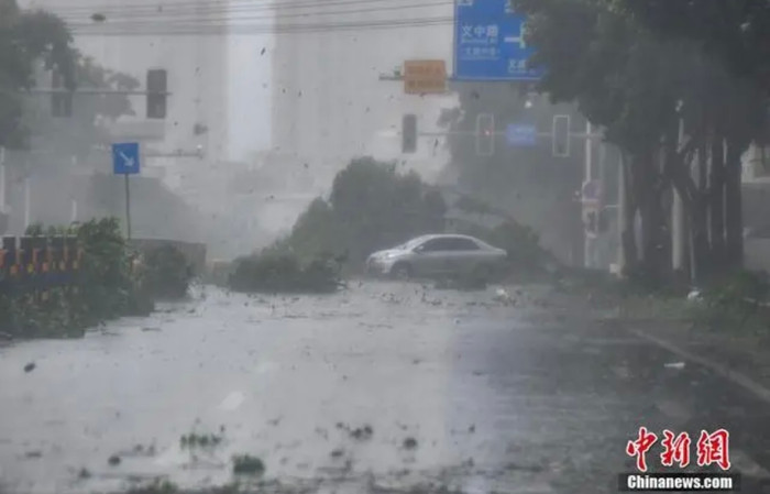 Hàng loạt cây xanh bị bật gốc, nhiều khu vực chìm trong cảnh mất điện.