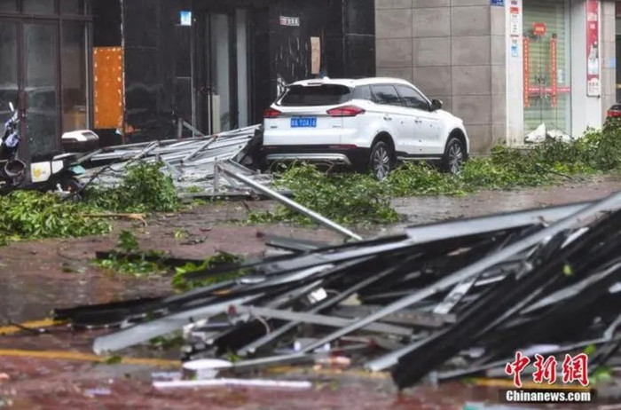 Vô số cây xanh bị bật gốc, nhiều công trình bị bão Yagi phá hủy.