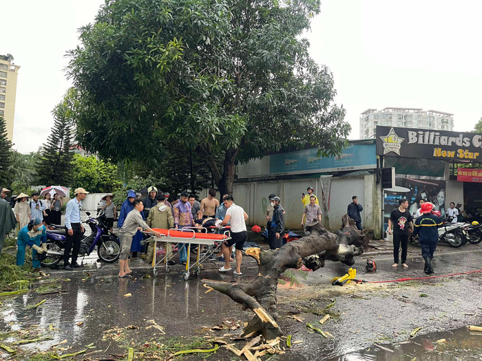 Những thiệt hại đầu tiên của bão YAGI tại Việt Nam