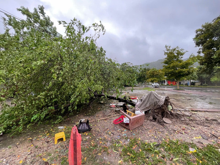 160 người dân ở Hà Nội được di dời trong đêm trước khi bão Yagi đổ bộ Ảnh 5