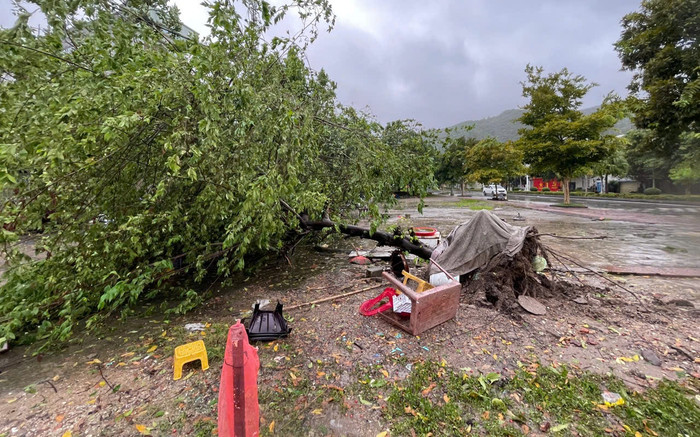 Vì sao nói YAGI là cơn bão hiếm gặp? Ảnh 2